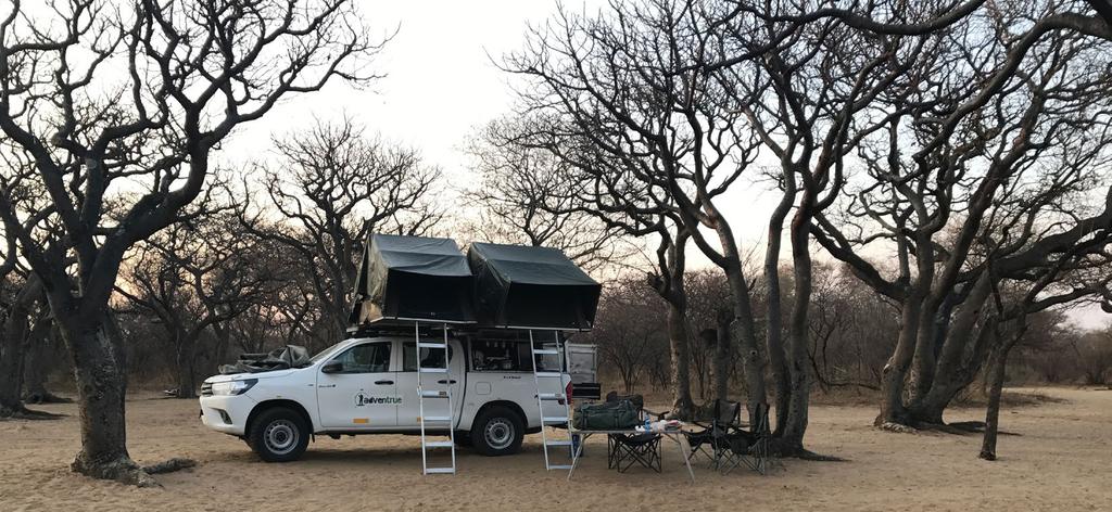 DZIEŃ 13 WATERBERG JOHANESBURG WYLOT DO DOMU S niadanie i wyjs cie na poranny spacer po