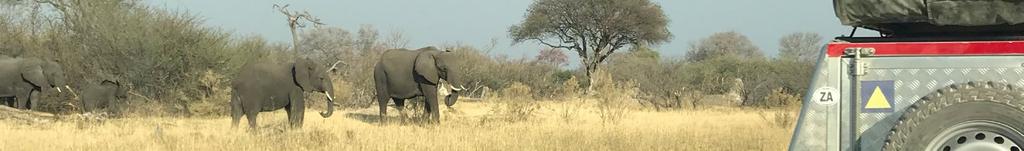 CENA ZAWIERA wszystkie transfery wynajem aut terenowych - Toyota Hilux z pełnym ekwipunkiem campingowym i ubezpieczeniem AC wizy do Zimbabwe koszty przekraczania granic KOSZTY NOCLEGO W: lodga
