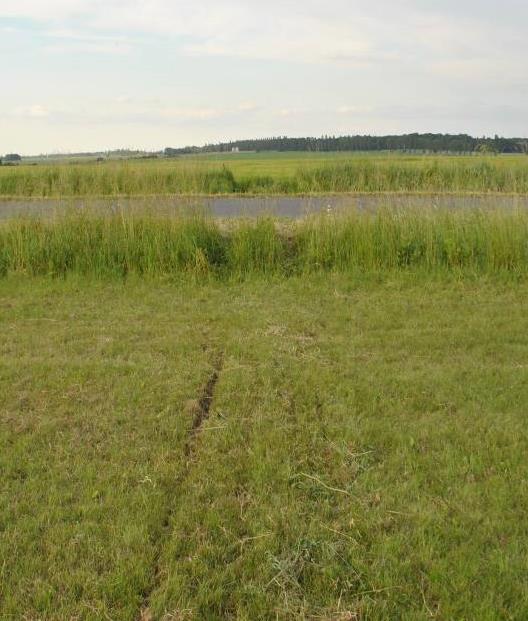 Podejście odbywało się z prędkością 80 km/h, z wypuszczonymi małymi klapami 15 i niskimi obrotami silnika.