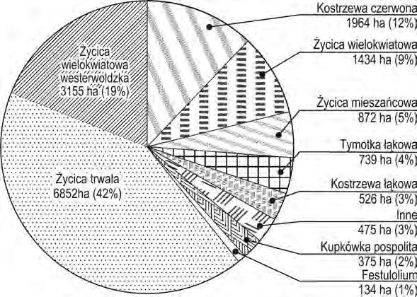 180 tych. Podobnie jak w latach poprzednich, najwięcej reprodukowano nasion życicy trwałej (42%).