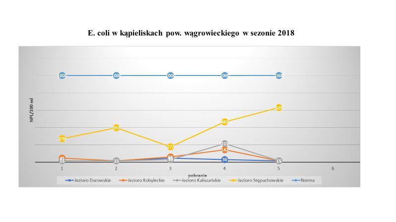 końcowa ocena roczna wodociąg produkuje wodę dobrą, stan sanitarno- techniczny wodociągu zachowany. C.