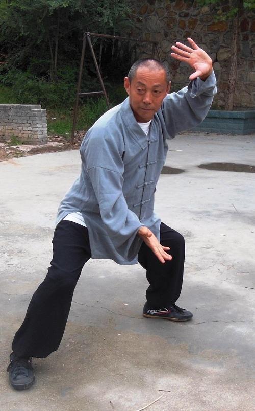 1 JEDENASTA FORMA KLASZTORNEGO SHAOLIŃSKIEGO STYLU WALKI OSIEMNASTU RĄK LUOHAN Shaolin Luohan Shi Ba Shou Shi I Lu Fot.1. Shi Su Gang si fu praktykujący jedenastą formę klasztornego stylu Osiemnastu Rąk Luohan (fot.