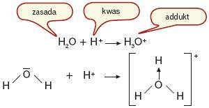 Między kwasem a zasadą przebiega reakcja zobojętniania, w wyniku której tworzy się tzw.