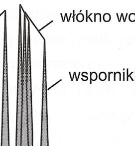 4 Jacek Sobczyk, Waldemar Wodziak, Marek Gawor częstotliwościowe przenoszenia sygnałów prędkości.