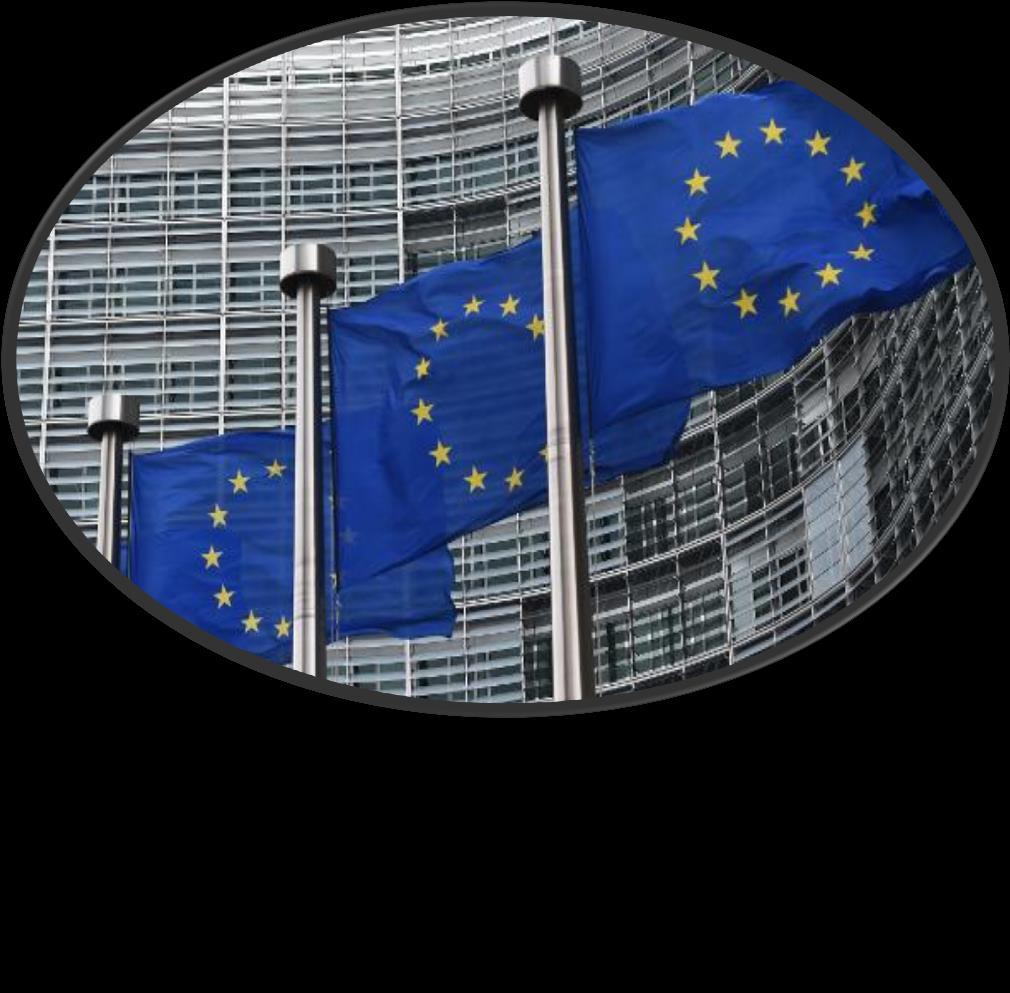 Równoległe zastosowanie przez ZUS rozporządzeń UE o koordynacji oraz