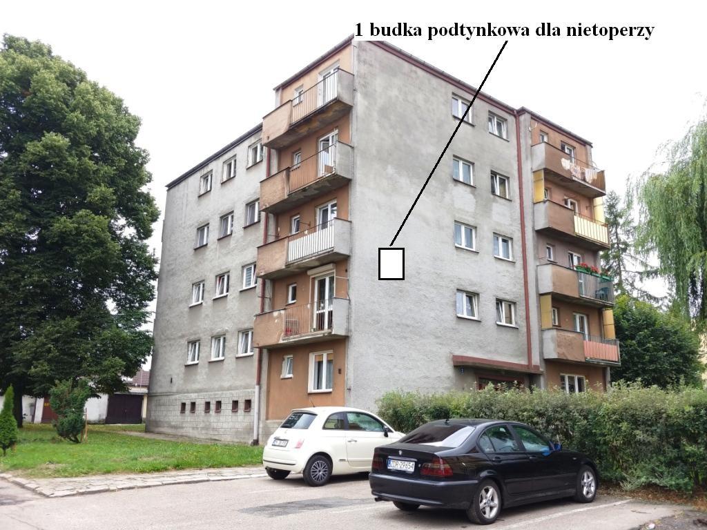 Zalecane miejsce montażu 1 budki