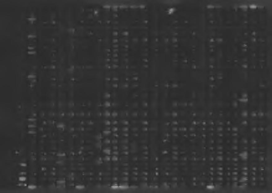 4040 ~ r ~ 87 214.00 87 214.00 0.00 87 214.00 87 214.00 0.00 0,00 0,00 0.00 0.00 0.00 0,00 0,00 67 976.62 67 976.8J r * 0,00 67 076.82 67 976.82 0,00 0,00 0.00 0.00 0.00 0.00 0.00 0.00 4110 207 633.