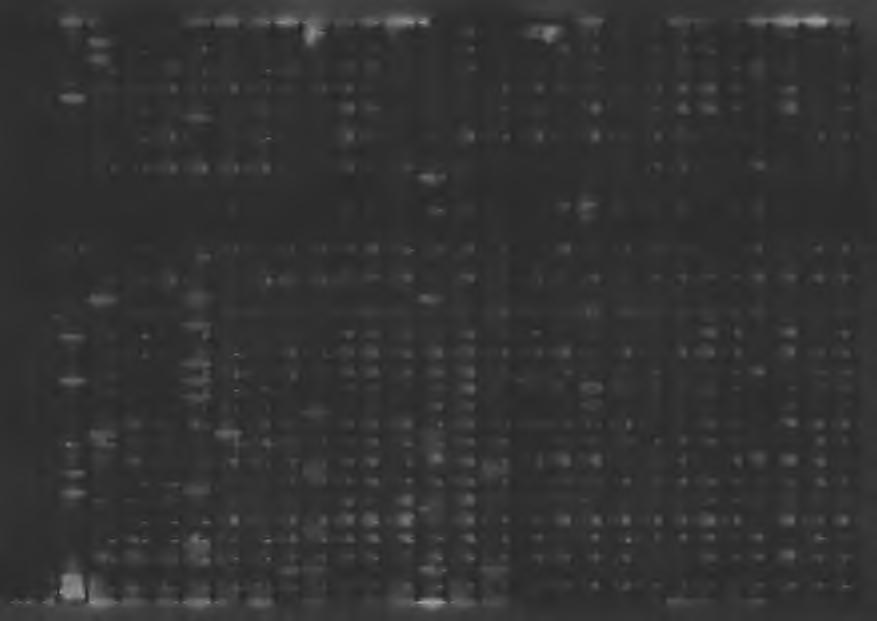 4110 2 670,00 2 670,00 0.00 2 670,00 2 670,00 0.00 0,00 f ^ 0,00 0,00 0,00 0.00 0.00 0.00 O.tijĘp 0.00 0.00 0,00 0.00 0,00 0.00 0,00 0X0 0,00 0,00 0.00 4120 Pracy 570.00 570.00 0.00 570.00 570.00 0.00 0.00 0.00 0.00 0,00 0.00 0,00 0.00 0.00 0.0 0 0.
