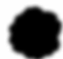 Cytryna estragon,