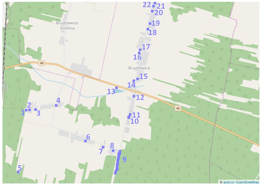 19 Brudzewice, posesja 37 20 Brudzewice, posesja 27 21 Brudzewice, posesja 24 22 Brudzewice, posesja 21 Ryc. 9.