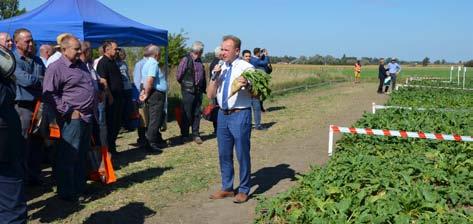 Surowcowych Oddziału Cukrownia Kruszwica Marcin Łukomski.