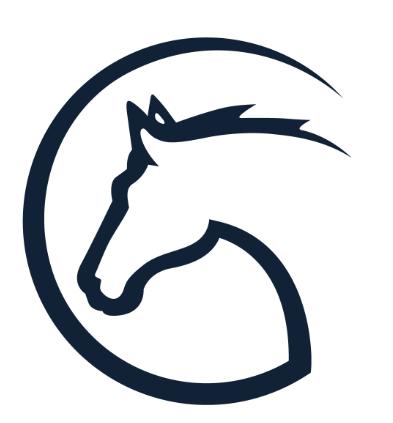 CSI2* CAVALIADA Lublin, 31.01-3.02.