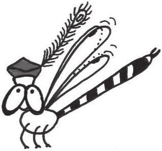 Entomologicznego Bulletin of the