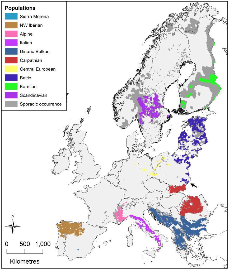 Wilk w Europie w 2011 r.