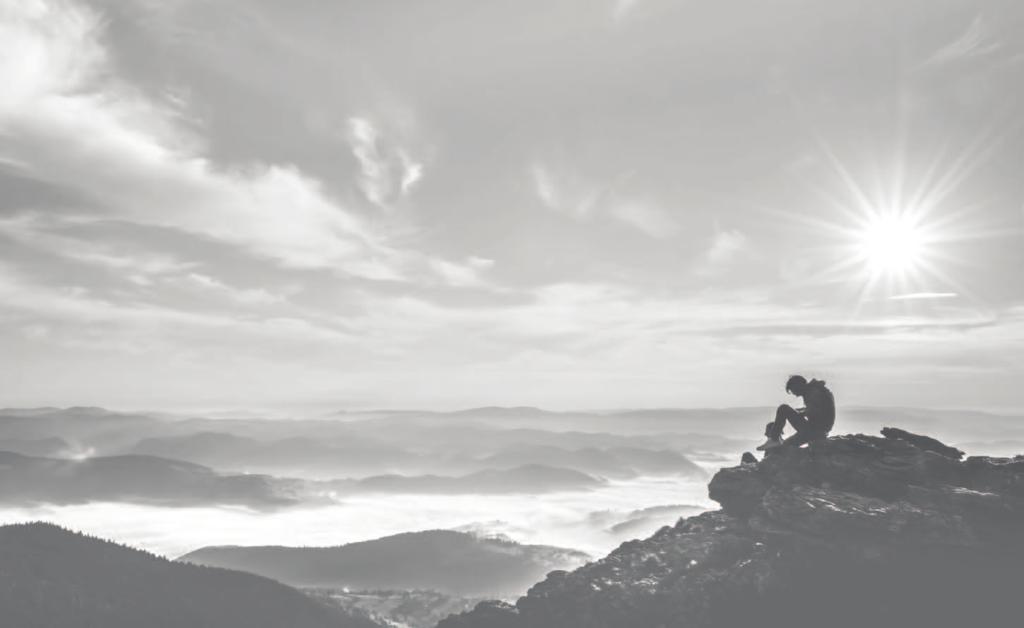 the best view comes