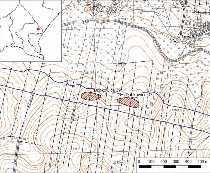 Ryc. 3. Dobkowice, pow. jarosławski, stan. 37 i 39. Położenie stanowisk. Opracował A. Nowak Fig. 3. Dobkowice, Jarosław district, sites 37 and 39. Location of sites. Prepared by A.