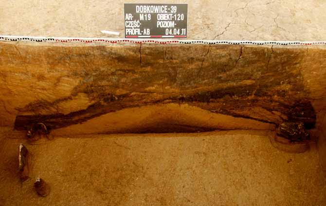 Szczątki zostały złożone już po pierwszej fazie destrukcji jamy, pomiędzy powstałym w centrum obiektu stożkiem zasypiskowym, a ścianą jamy (fot. 9, 20).