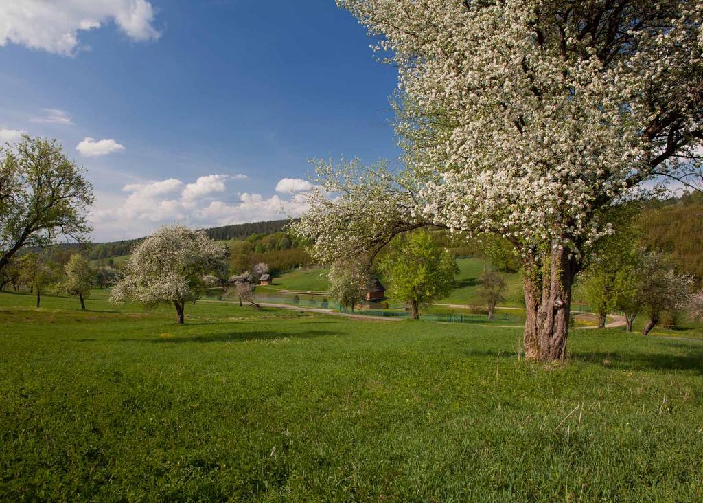 Arłamów wiosną Arłamów na jar Spring in