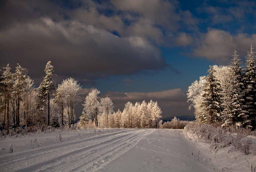 Zima - pasmo Żukowa Zima, pohorie Żuków Winter