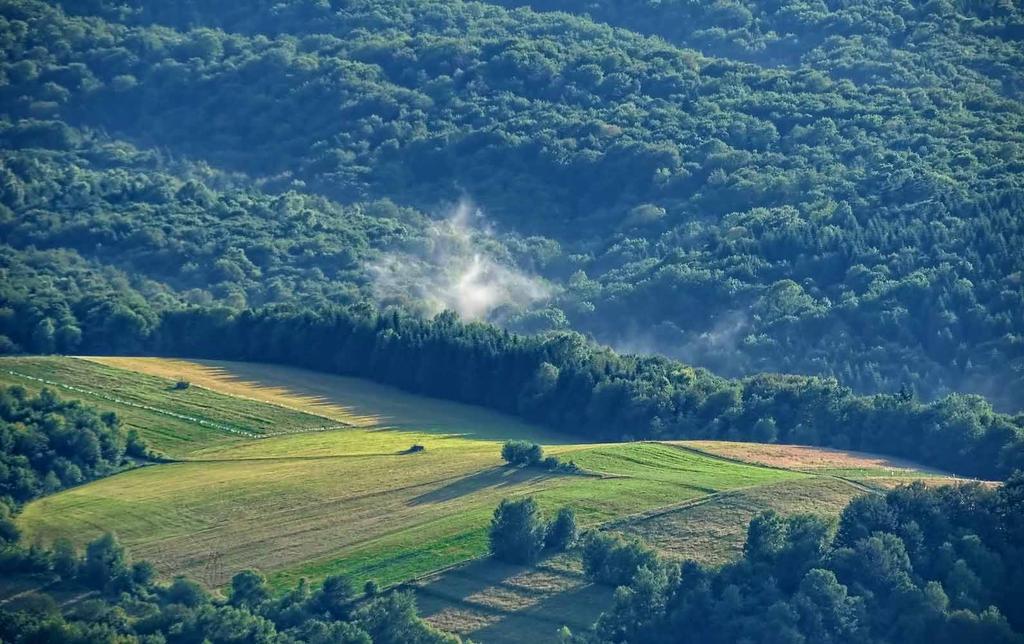 Łobozew fot.