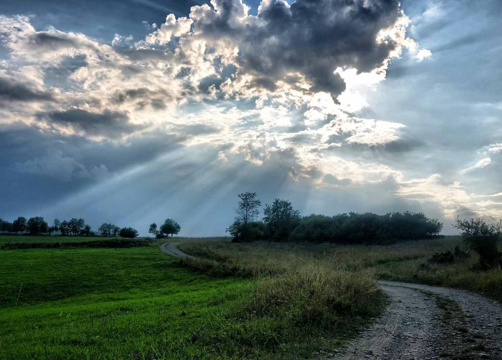 fot. Jacek Bis