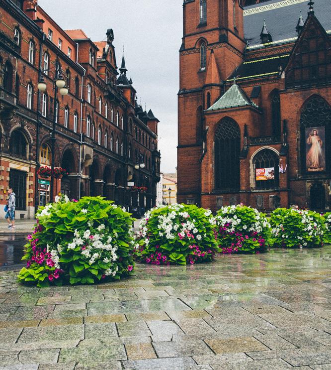 Kaskada W600/3 Kontynuacja kwiatowej oprawy również