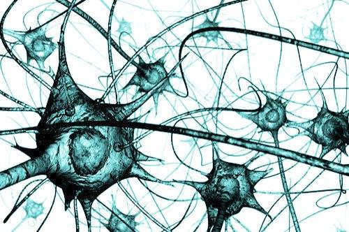 Logicyzm czy naturalizm? Logicyzm Istotą intelektu jest zdolność do logicznych rozumowań (znamy je z matematyki). Sztuczna inteligencja powinna zatem opierać się na logice, tj.