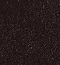 Softline