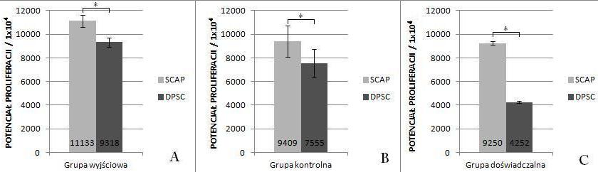 Ocena potencjału proliferacji i zdolności formowania kolonii in vitro przez komórki izolowane z miazgi ludzkiego zęba (DPSC)... zmierzono poziom absorbancji światła przy długości fali 450 nm.