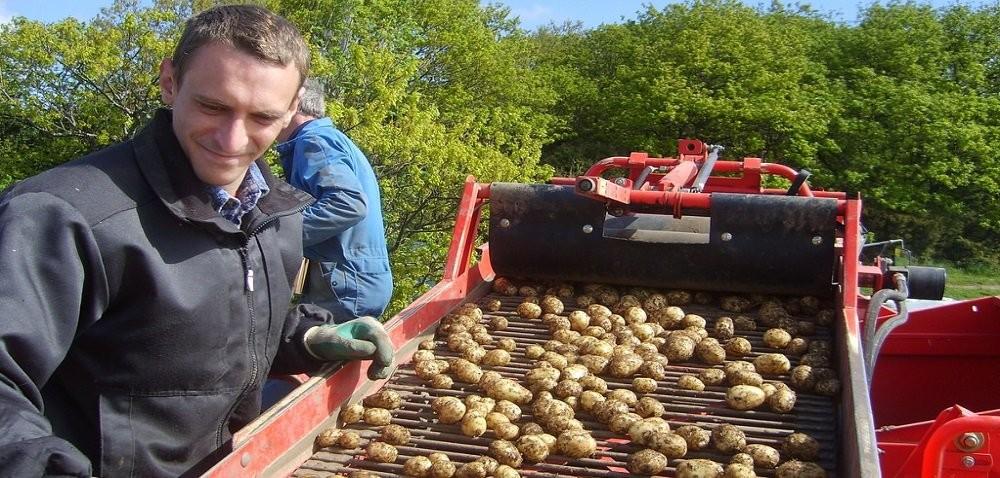 https://www. Cena ziemniaków - co zrobić, żeby uzyskać większe dochody ze sprzedaży? Autor: Ewa Ploplis Data: 13 marca 2018 Jak kształtuje się cena ziemniaków na polskim rynku, a jak w Europie?