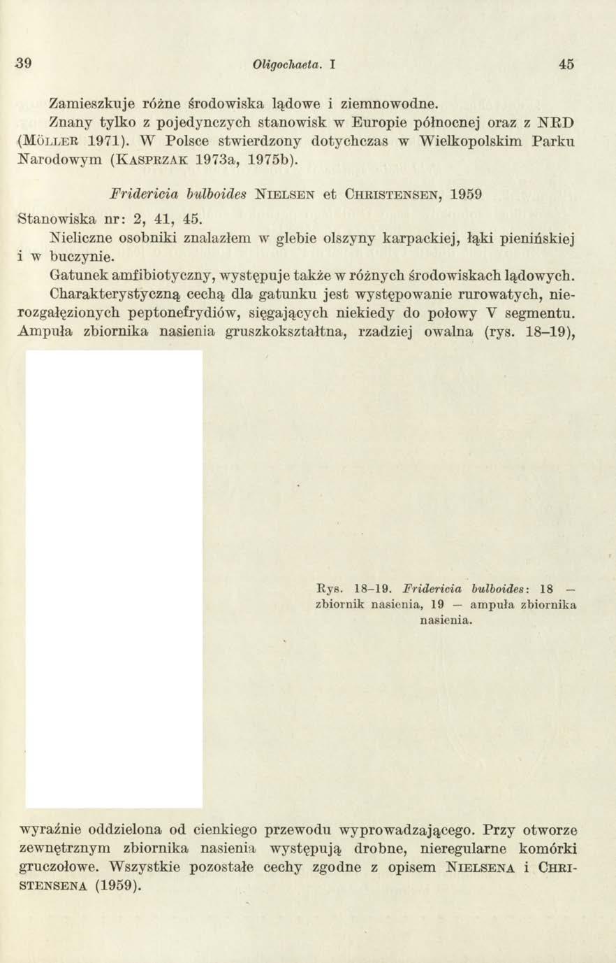 39 Oligochaeta. I 45 Z am ieszkuje różne środow iska lądowe i ziem nowodne. Znany tylko z pojedynczych stanow isk w Europie północnej oraz z NRD ( M u l l e r 1971).