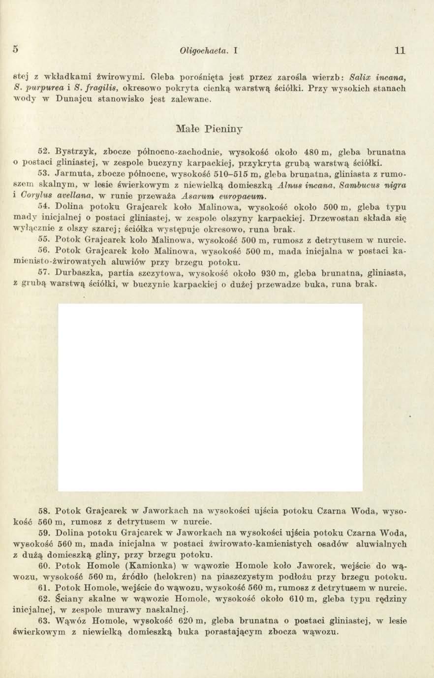 5 Oligochaeta. I 11 stej z w kładkam i żwirowymi. Gleba porośnięta jest przez zarośla w ierzb: Salix incana, S. purpurea i S. fragilis, okresowo pokryta cienką w arstw ą ściółki.
