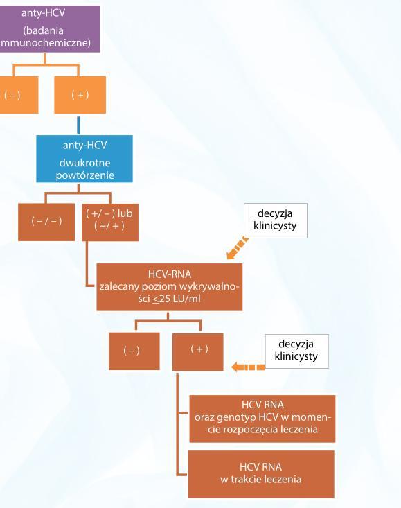 Hepatitis C Algorytm