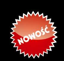 Ciekawy kształt tego pokrycia gwarantuje, że cały budynek zyska niepowtarzalny charakter.