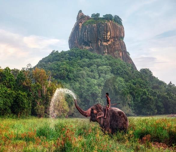 Przejazd do PINNAWALA pierwszej na świecie hodowli i sierocińca dla słoni, który zwrócił uwagę na