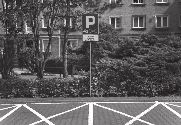 6 Przegl¹d Pyskowicki nr 6 (272) Czerwiec