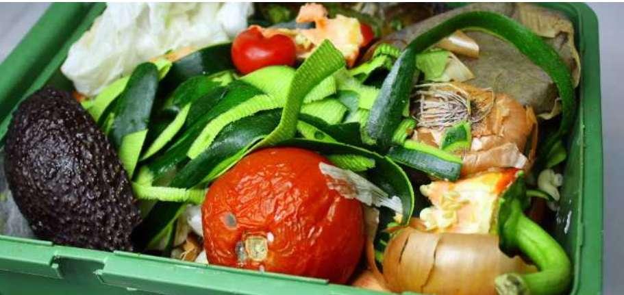 Problemy na etapie selektywnej zbiórki odpadów kuchennych Brak miejsca Uciążliwość zapachowa, zagniwanie, odcieki Konieczność częstego