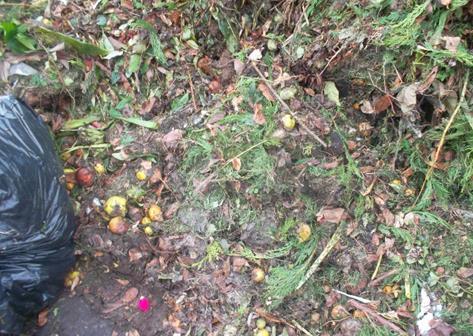 strumienia odpadów biodegradowalnych, które trafiają do