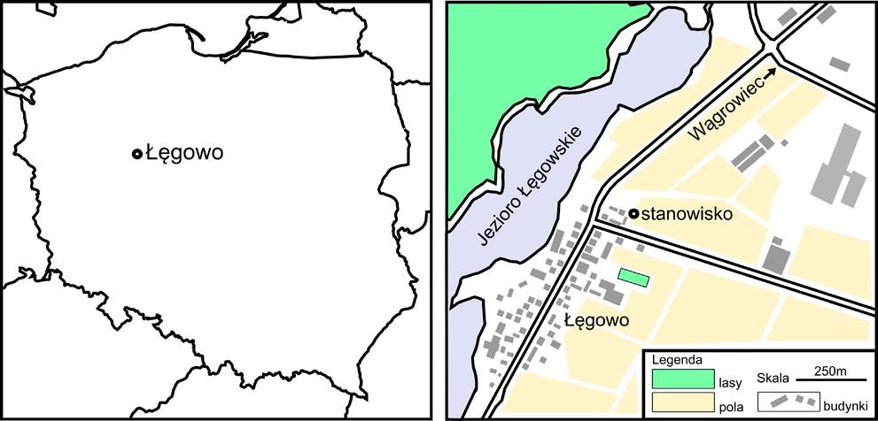 NOTATKI / NOTes Ryc. 1. Fig. 1. Lokalizacja stanowiska Gaestrum striatum.