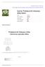 bylina Przetacznik kłosowy Alba B262 Przetacznik kłosowy Alba Veronica spicata Alba Opis produktu