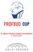 PROFBUD CUP. Strona 2