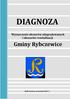 DIAGNOZA. Gminy Rybczewice. Wyznaczenie obszarów zdegradowanych i obszarów rewitalizacji. Rybczewice, wrzesień 2017 r.