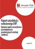 Raport satysfakcji z wdrożonego ERP. Badanie opinii menedżerów przedsiębiorstw produkcyjnych średniej wielkości.