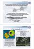 Structural Integrity Assessment of the Aerospace Elements with the use of modern NDI approach and Structural Health Monitoring