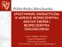 EFEKTYWNOŚĆ ENERGETYCZNA W ASPEKCIE BEZPIECZEŃSTWA DOSTAW ENERGII I BEZPIECZEŃSTWA EKOLOGICZNEGO