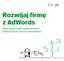 Rozwijaj firmę z AdWords. Wykorzystaj w pełni potencjał konta AdWords dzięki naszym wskazówkom