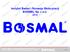 Instytut Badań i Rozwoju Motoryzacji BOSMAL Sp. z o.o. 2013