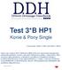 Test 3*B HP1. Konie & Pony Single. Czworobok 100m x 40m (lub 80m x 40m)