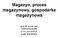 Magazyn, proces magazynowy, gospodarka magazynowa. prof. PŁ dr hab. inż. Andrzej Szymonik www.gen-prof.pl Łódź 2014/2015