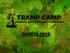 TRAMP CAMP SZKOLENIA - OBOZY SURVIVALOWE - ZIELONE SZKOLY / OFERTA 2015